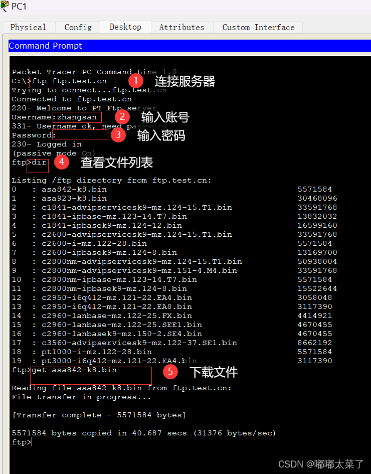 【Cisco Packet Tracer】DHCP/FTP/WEB/DNS实验插图(21)