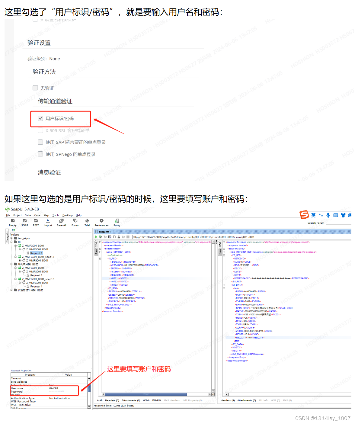 SAP 服务提供者 （Services Provider）接口测试笔记插图(2)