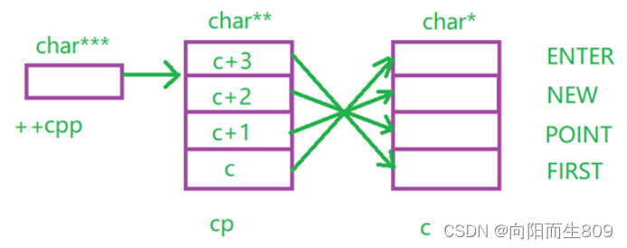 C语言——指针补充插图(1)