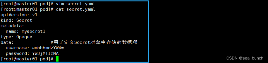 k8s——secret配置资源管理插图(4)