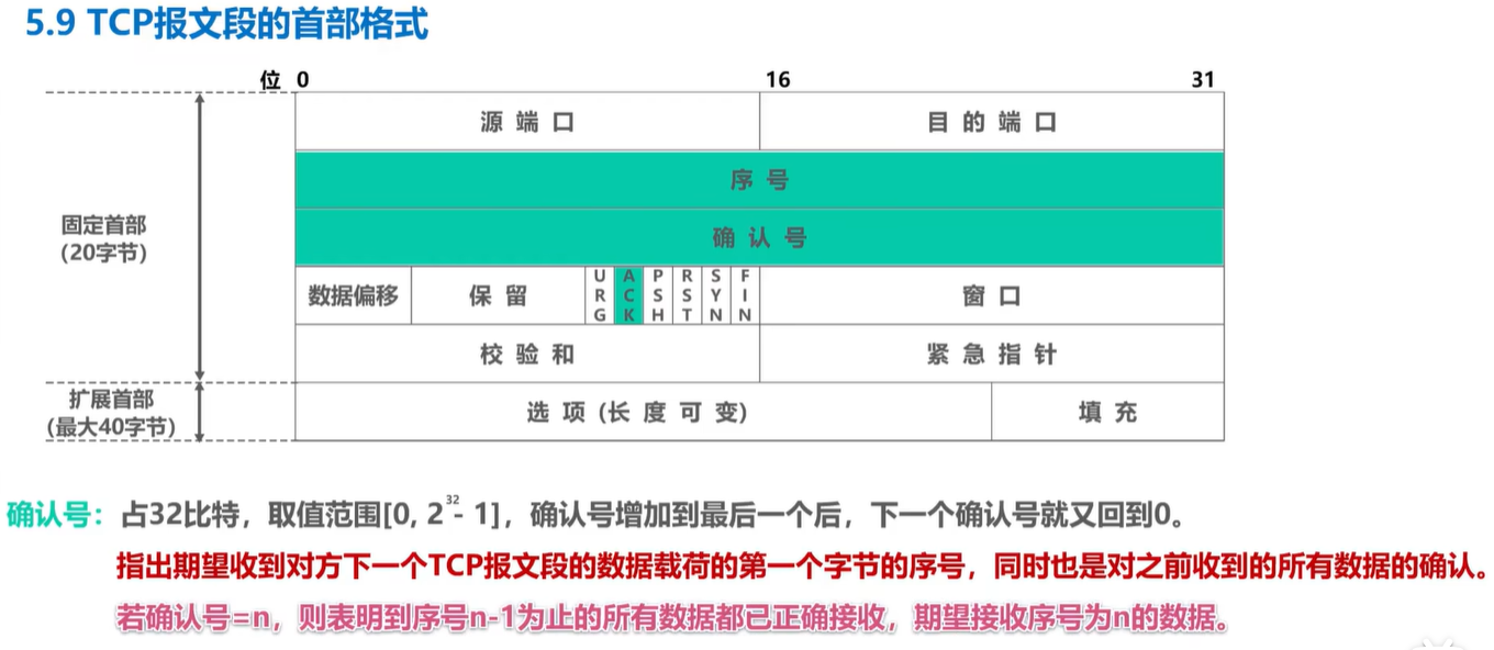 计算机网络学习记录 运输层 Day5插图(65)