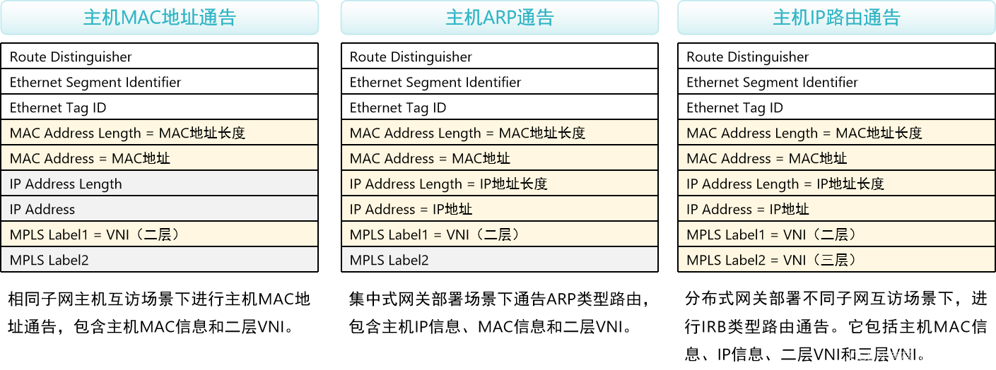 BGP EVPN插图(3)