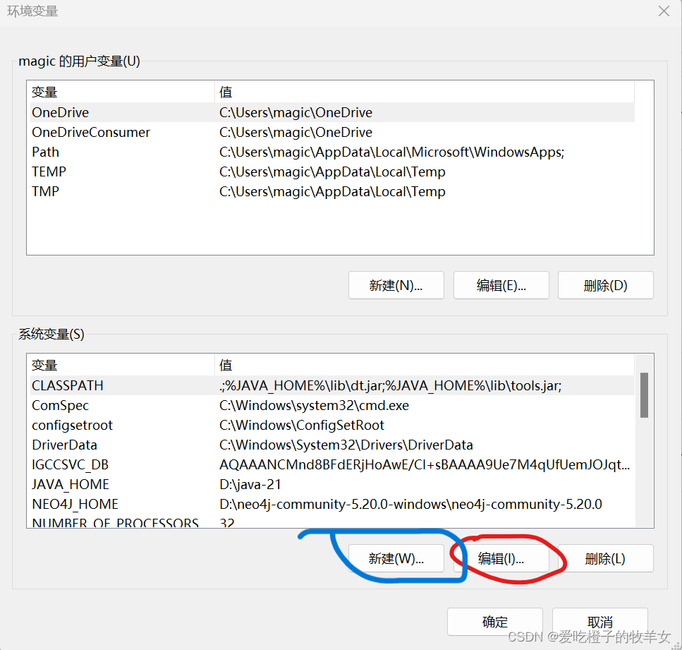 【Neo4j】Windows11使用Neo4j导入CSV数据可视化知识图谱插图(4)