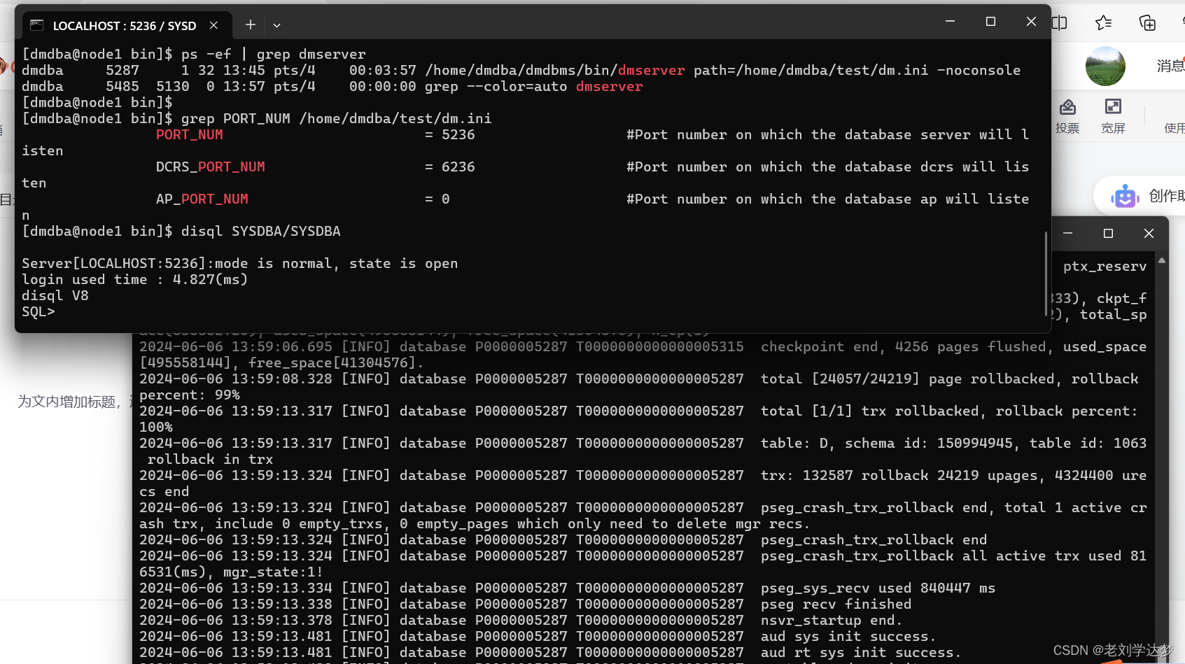 达梦 连接数据库[-70028]:Create SOCKET connection failure.插图(1)