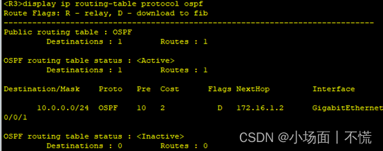 实验11 OSPF协议配置插图(9)