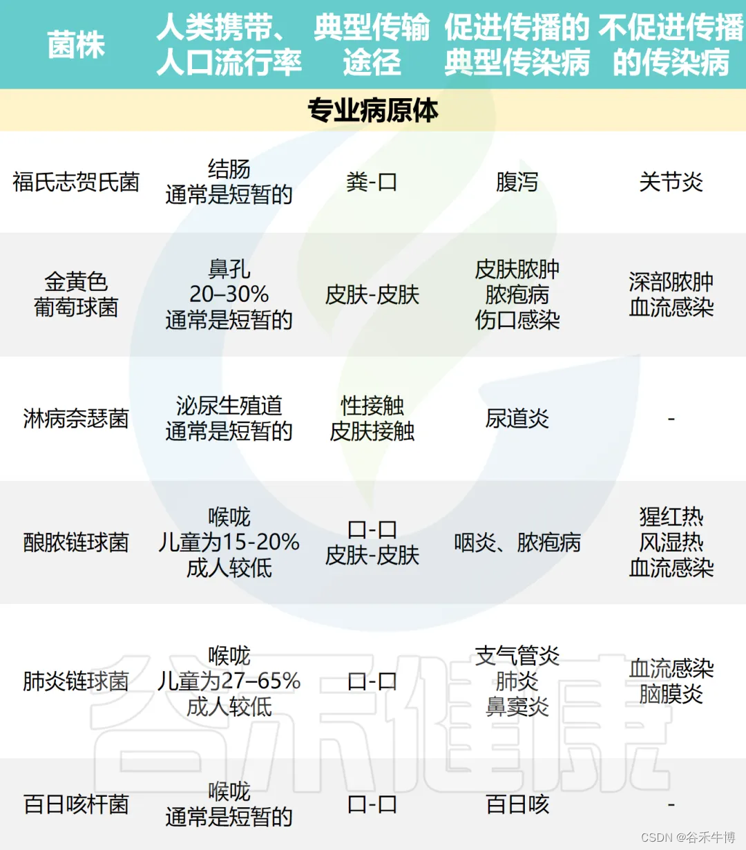 微生物共生与致病性：动态变化与识别挑战插图(2)