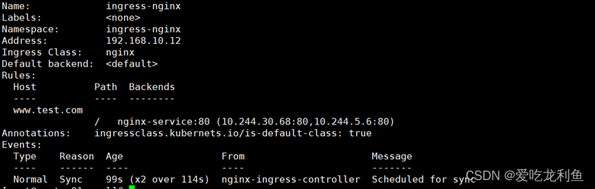 k8s学习–ingress详细解释与应用(nginx ingress controller))插图(6)