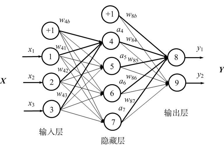 神经网络是什么？有什么作用？插图(1)