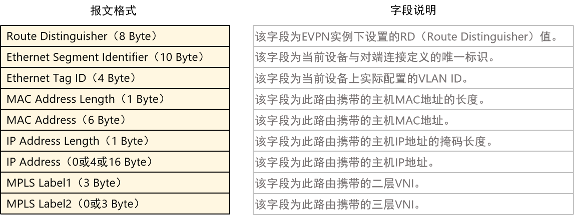 BGP EVPN插图(2)