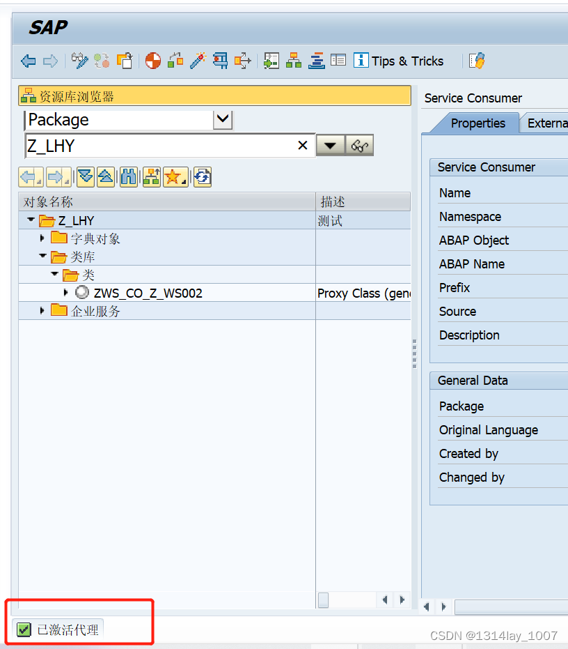 ABAP接口部分-Web Service提供者与消费者插图(64)