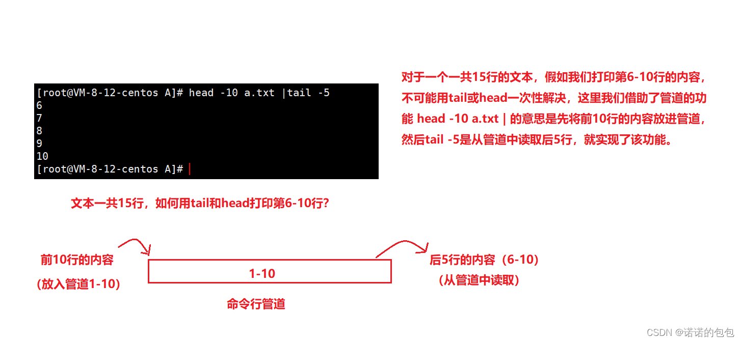 【Linux】一文掌握Linux基本指令（下）插图(5)