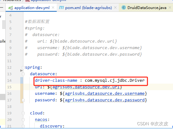 java项目（nacos）启动时报错Cannot load driver class: org.postgresql.Driver插图