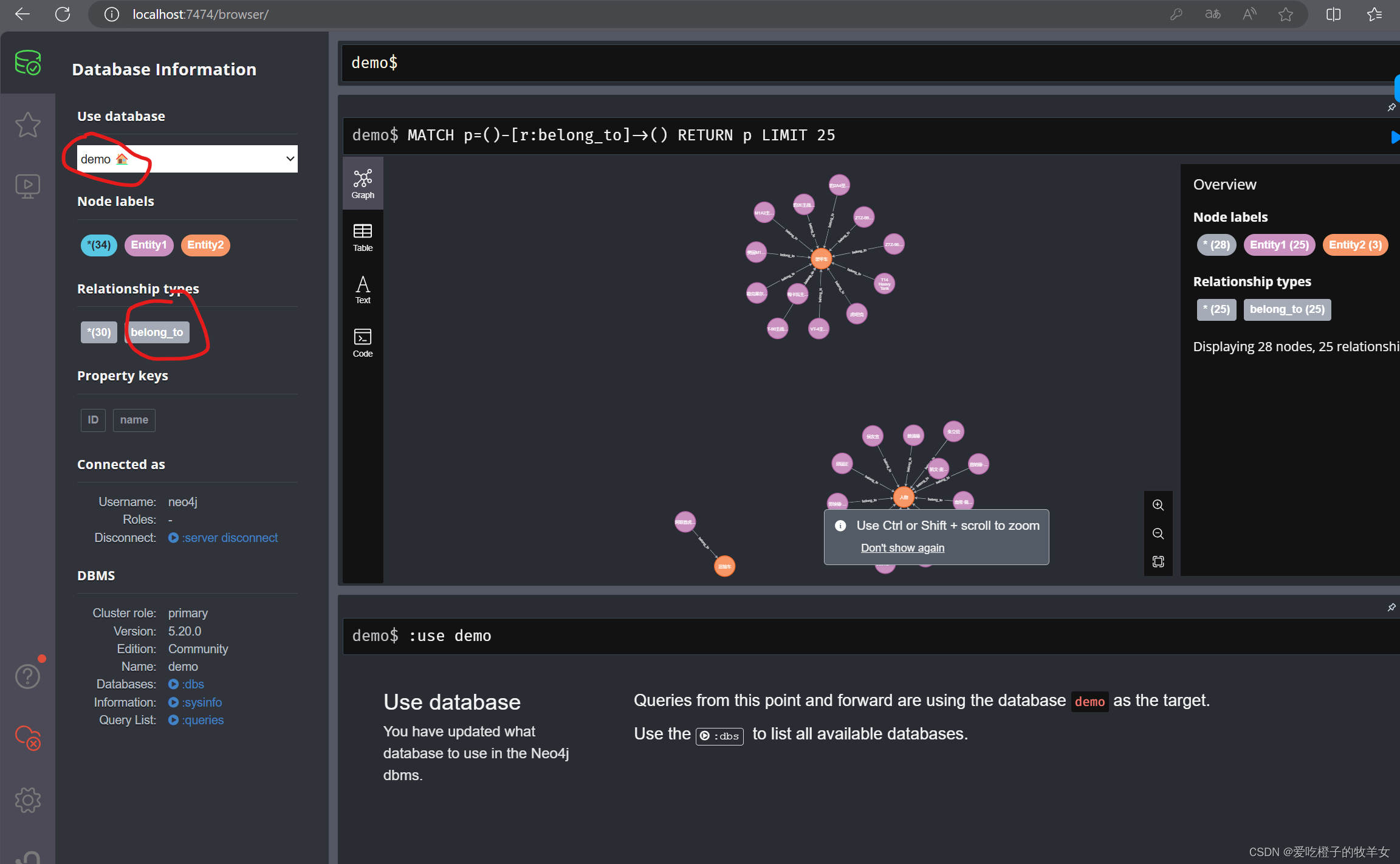 【Neo4j】Windows11使用Neo4j导入CSV数据可视化知识图谱插图(21)