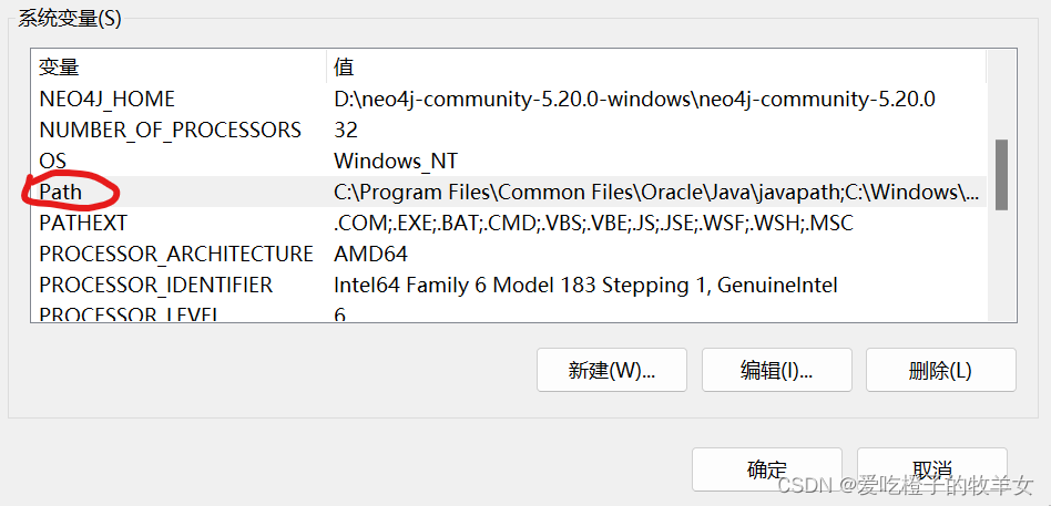 【Neo4j】Windows11使用Neo4j导入CSV数据可视化知识图谱插图(11)