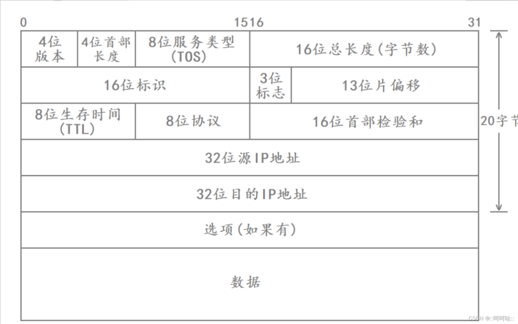 11 IP协议 – IP协议头部插图(2)