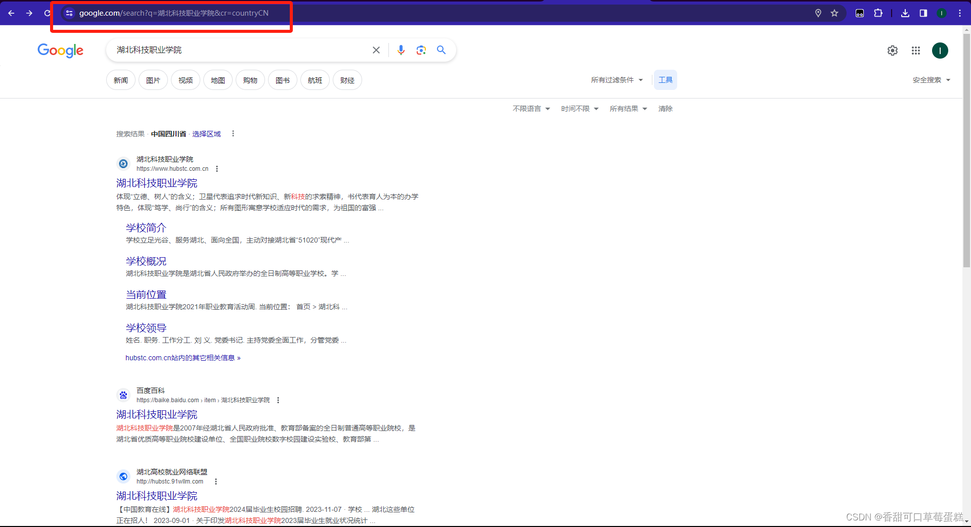 如何使用 Google 搜索引擎保姆级教程（附链接）插图(12)