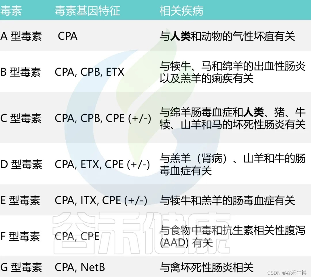 产气荚膜梭菌定植与婴儿食物过敏之间的关联插图(8)