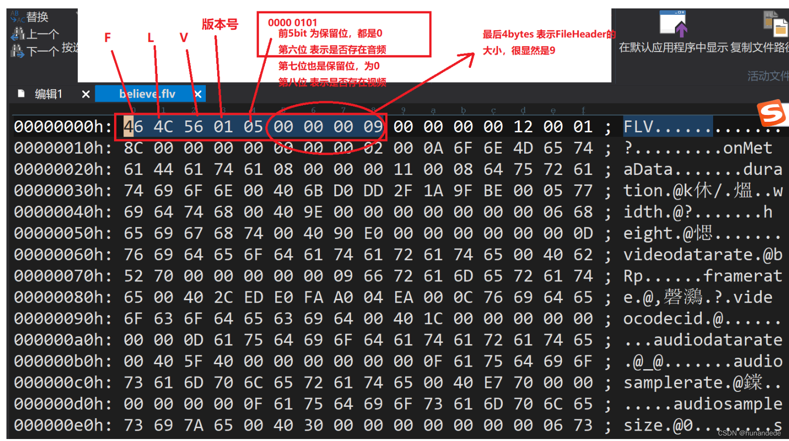 音视频开发15 FFmpeg FLV封装格式分析插图(5)