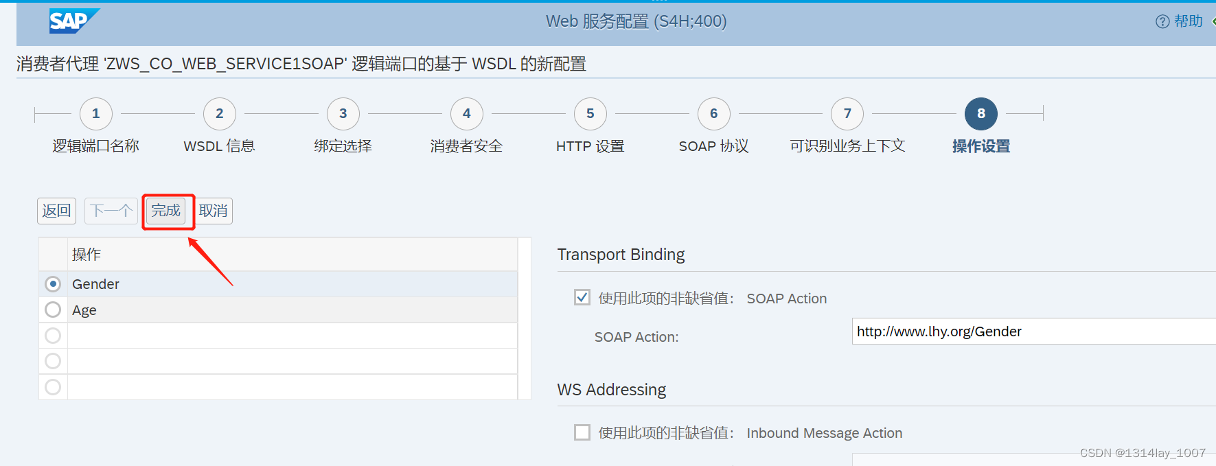 ABAP接口部分-Web Service提供者与消费者插图(124)