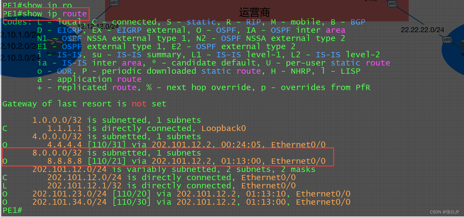 【思科】MPLS VPN 实验配置插图(4)