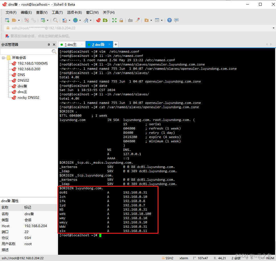 Rocky linux 搭建DNS主从服务器+keepalived实现高可用插图(11)