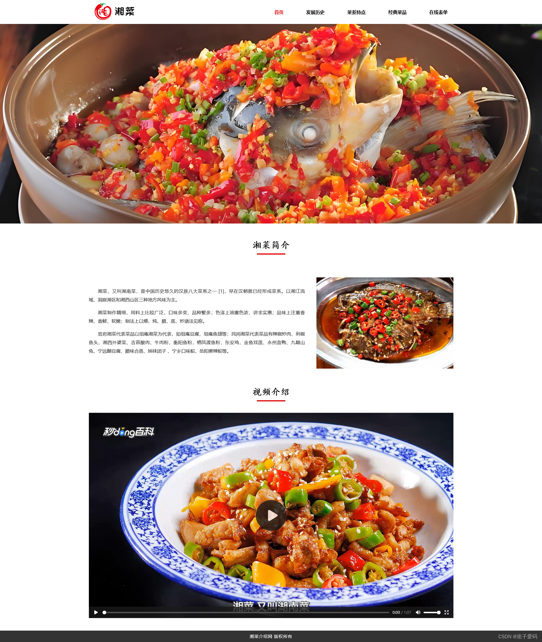 HTML静态网页成品作业(HTML+CSS)—— 美食湘菜介绍网页(5个页面)插图(4)