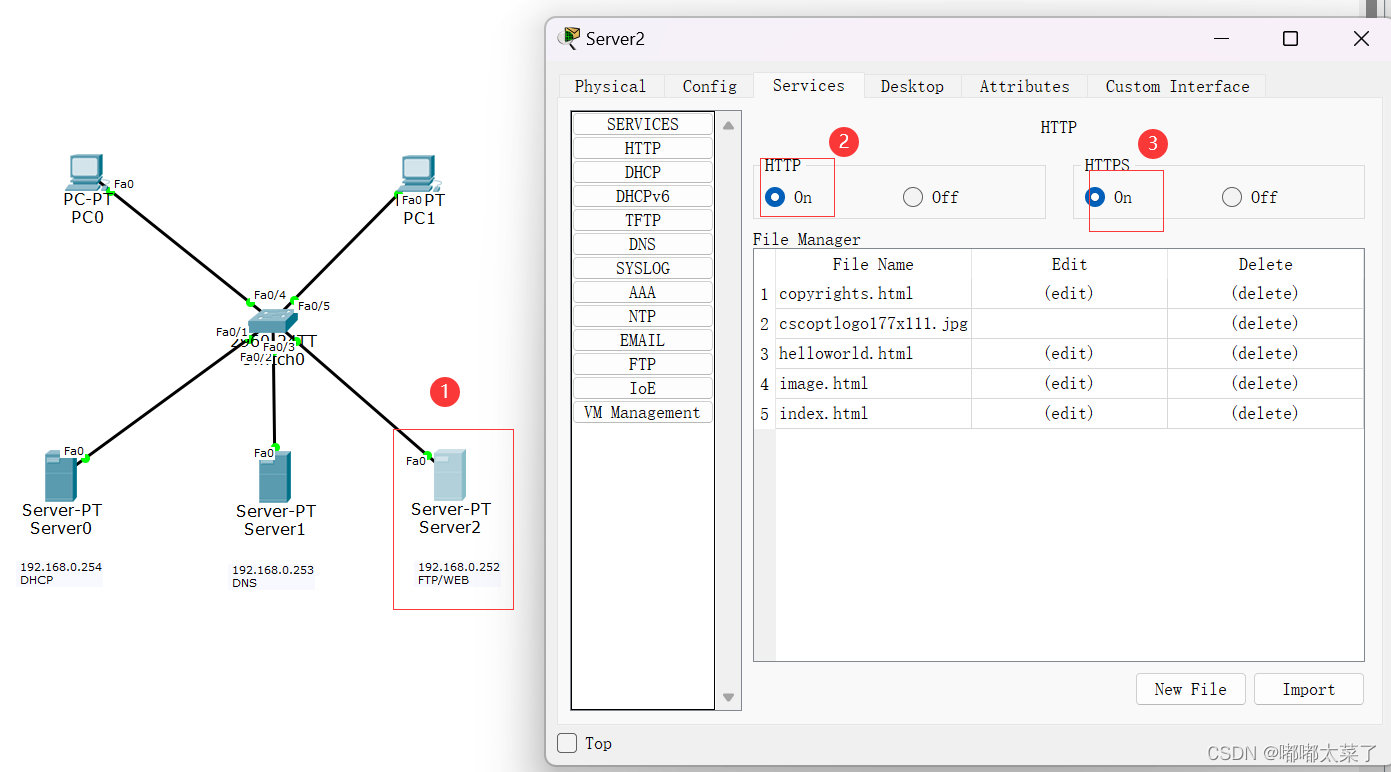 【Cisco Packet Tracer】DHCP/FTP/WEB/DNS实验插图(12)