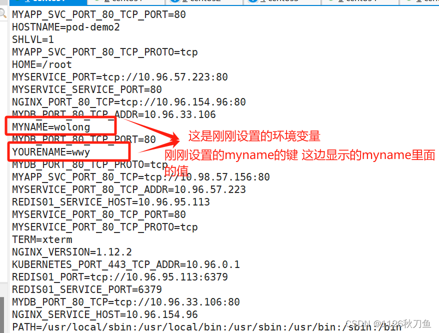 探索k8s集群的配置资源（secret和configmap）插图(20)