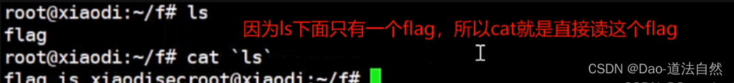 Day58：WEB攻防-RCE代码&命令执行&过滤绕过&异或无字符&无回显方案&黑白盒挖掘插图(7)