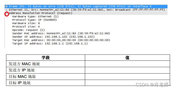 实验八、地址解析协议《计算机网络》插图(4)