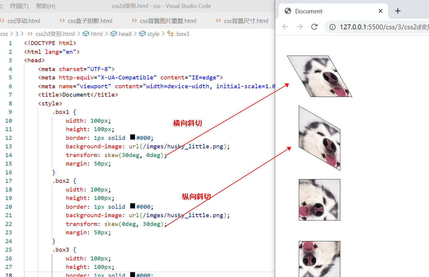 〖大前端 – 基础入门三大核心之CSS篇⑳〗- 2D变形插图(8)