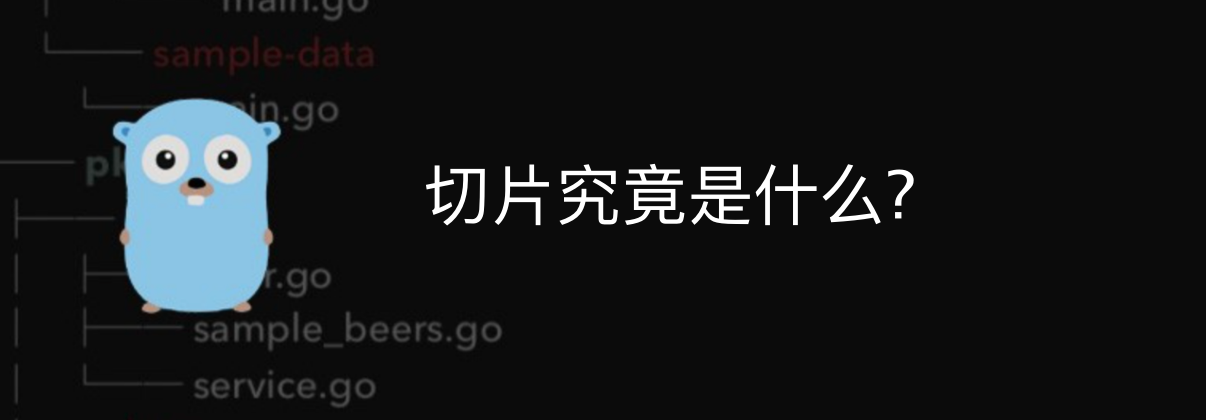 【Go语言精进之路】构建高效Go程序：了解切片实现原理并高效使用插图(3)