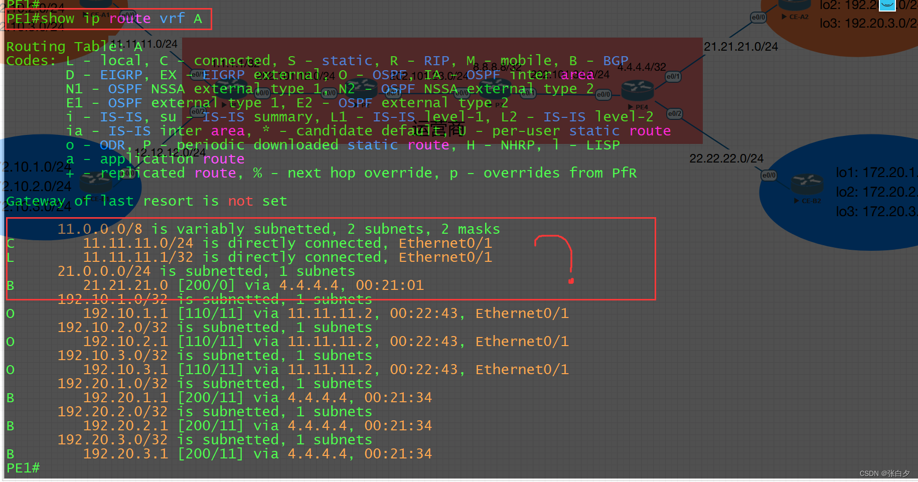 【思科】MPLS VPN 实验配置插图(5)