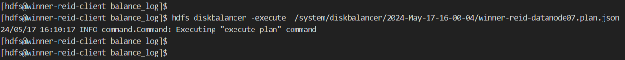 【Hadoop】DataNode 数据盘进行磁盘DiskBalancer插图(4)