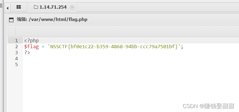 NSSCTF-Web题目4插图(19)