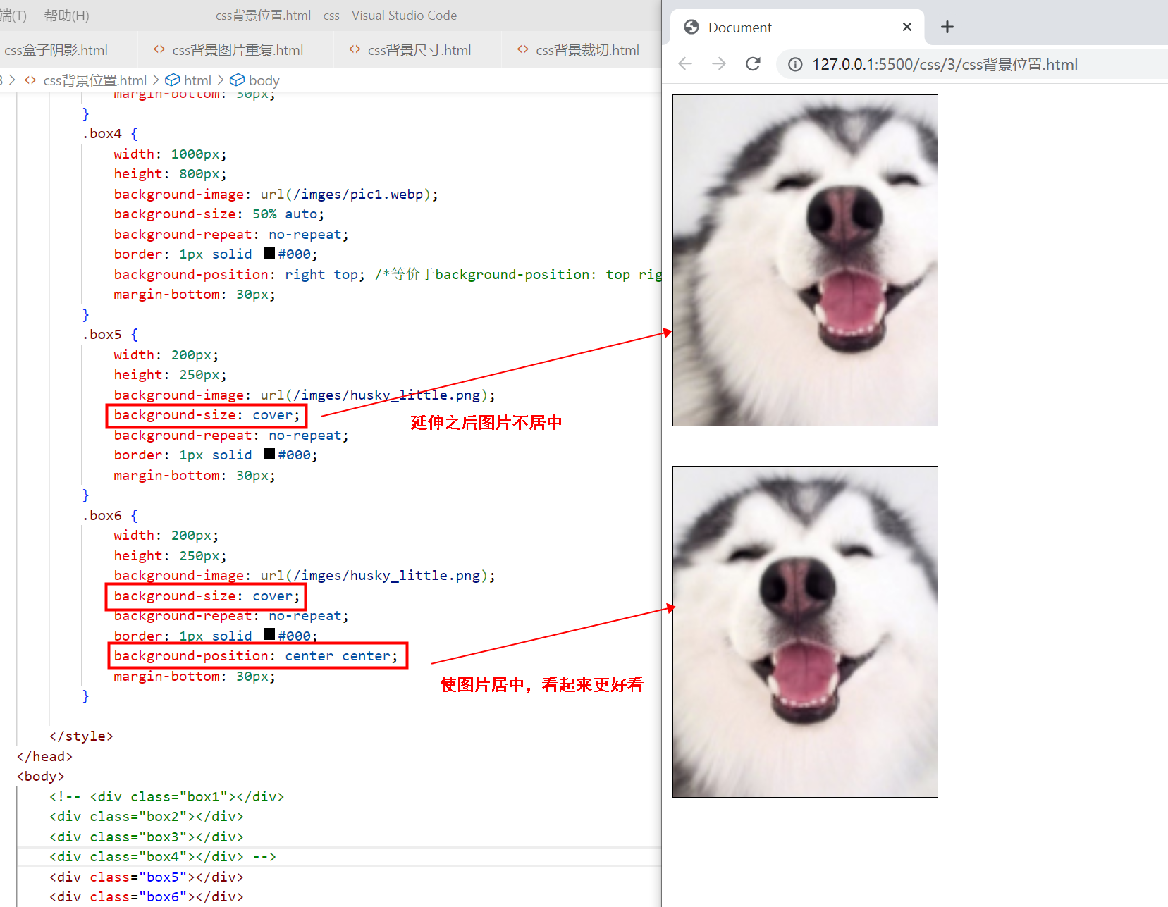 〖大前端 – 基础入门三大核心之CSS篇⑱〗- CSS中的背景插图(17)