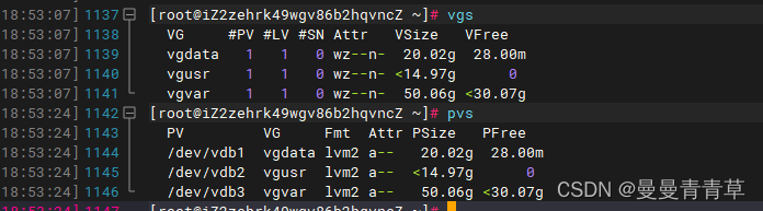 Linux服务器扩容及磁盘分区（LVM和非LVM）插图(20)