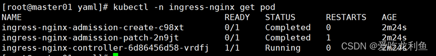 k8s学习–ingress详细解释与应用(nginx ingress controller))插图(2)