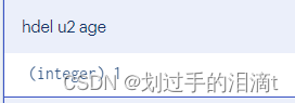 【NoSQL数据库】Redis命令、持久化、主从复制插图(23)