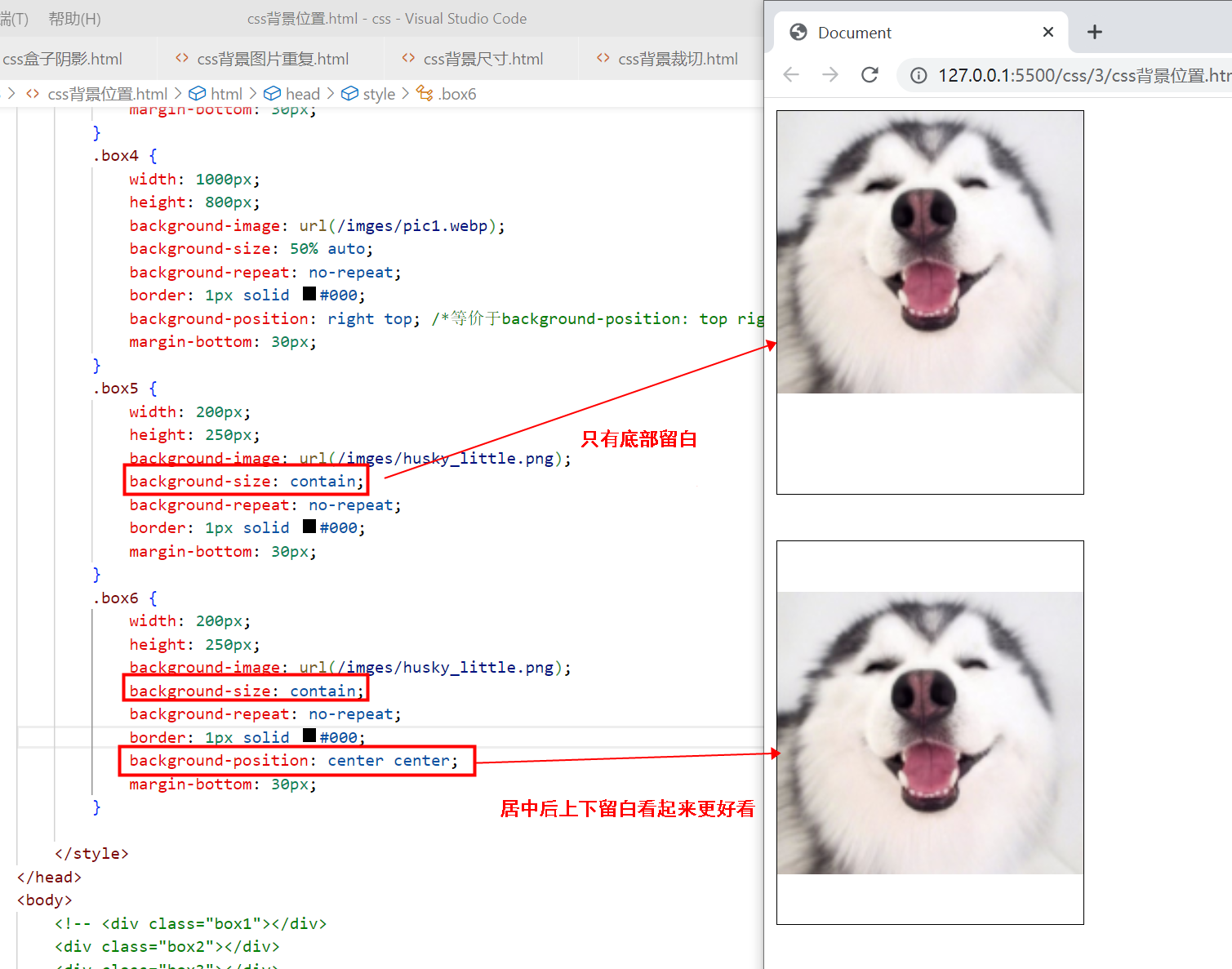 〖大前端 – 基础入门三大核心之CSS篇⑱〗- CSS中的背景插图(18)