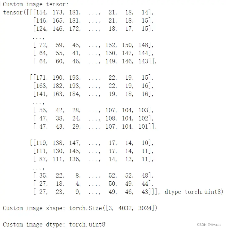 【Pytorch】计算机视觉项目——卷积神经网络TinyVGG模型图像分类（模型预测）插图(1)