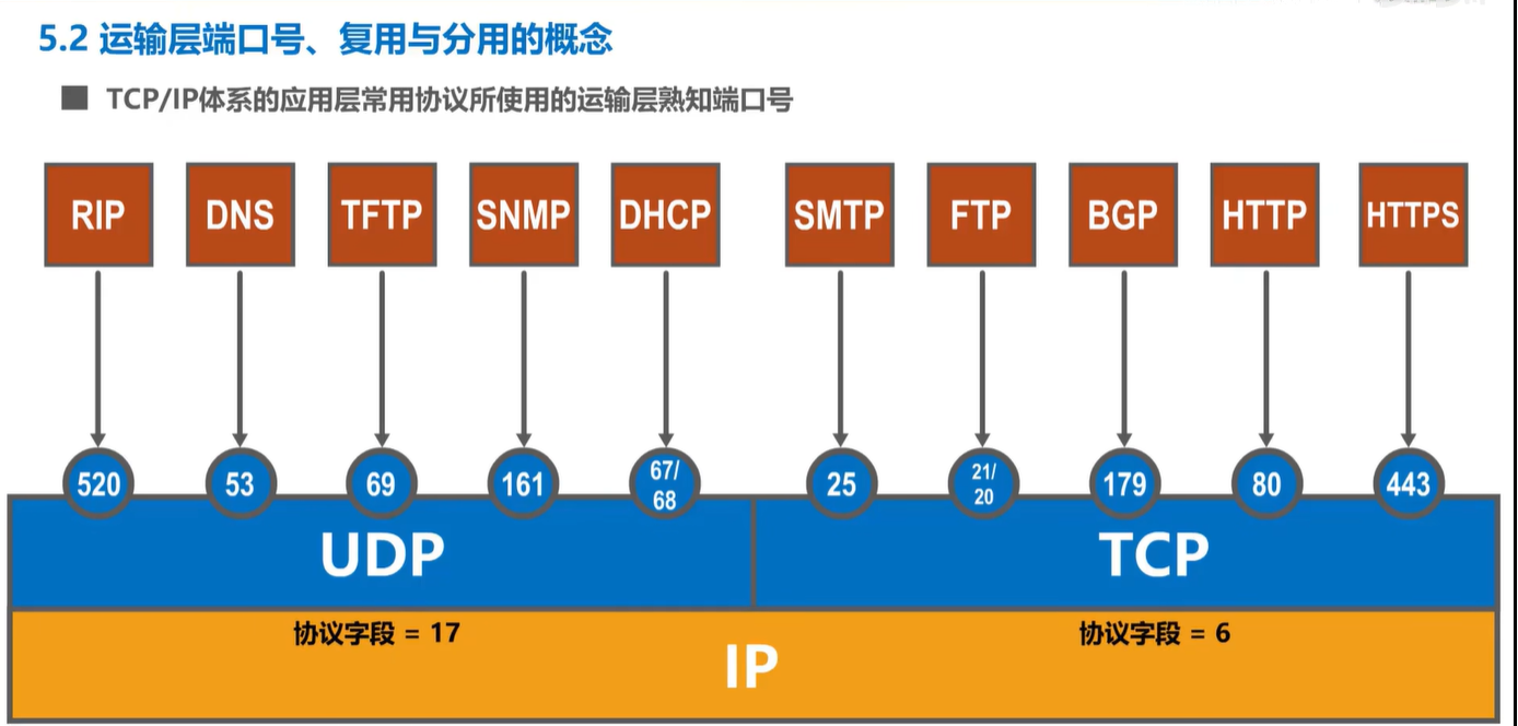 计算机网络学习记录 运输层 Day5插图(7)