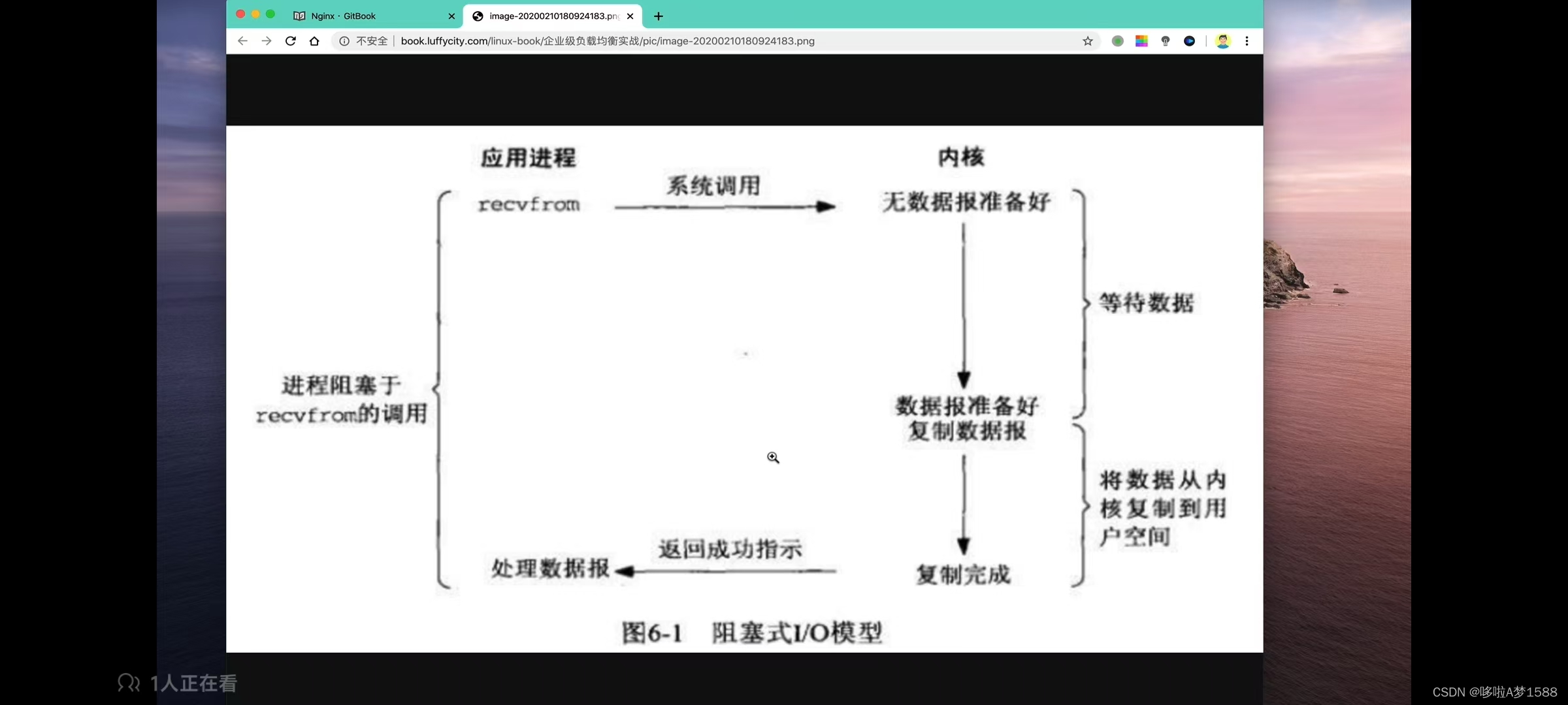 LNMP与动静态网站介绍插图(3)