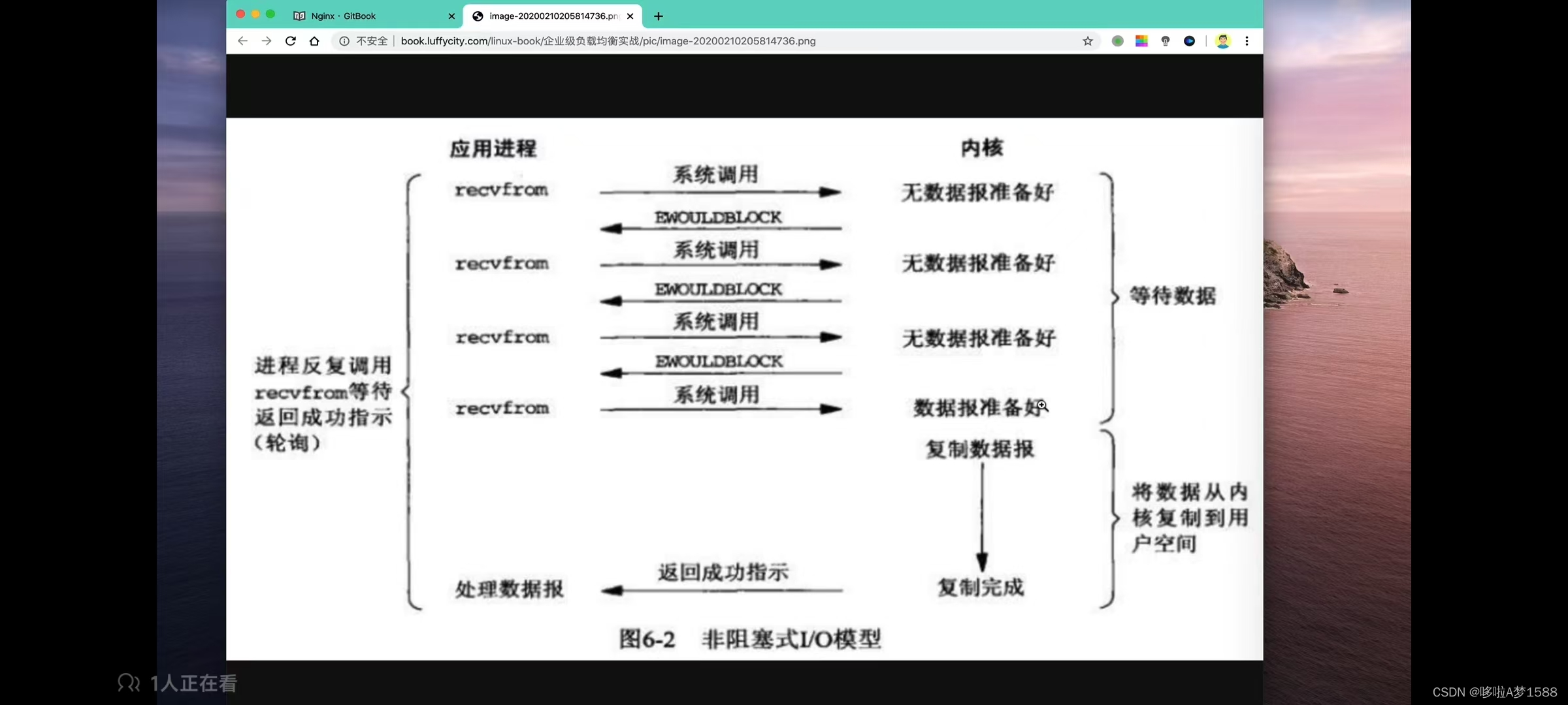 LNMP与动静态网站介绍插图(4)