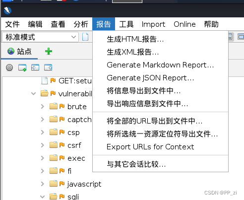 Web漏扫工具OWASP ZAP安装与使用（非常详细）从零基础入门到精通，看完这一篇就够了。插图(13)