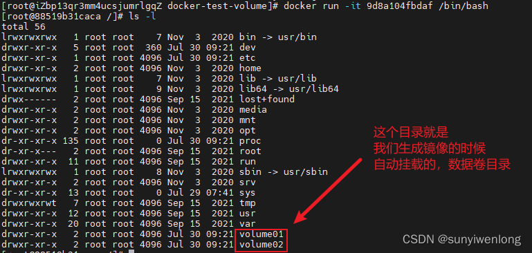 Docker最新超详细版教程通俗易懂插图(30)