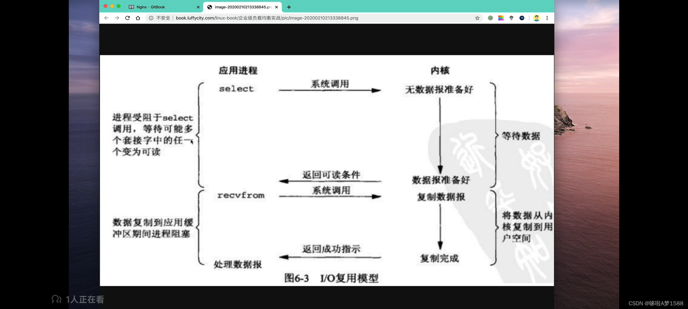 LNMP与动静态网站介绍插图(5)