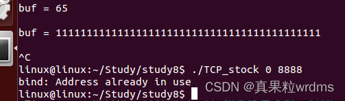 【网络编程开发】4.socket套接字及TCP的实现框架 5.TCP多进程并发插图(2)